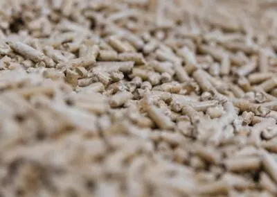 Pellets aus Holz