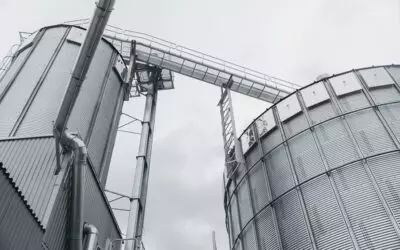 Neues Pelletwerk und neue Jobs in Produktion und Vertrieb