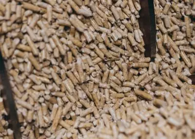 LENNE PELLETS